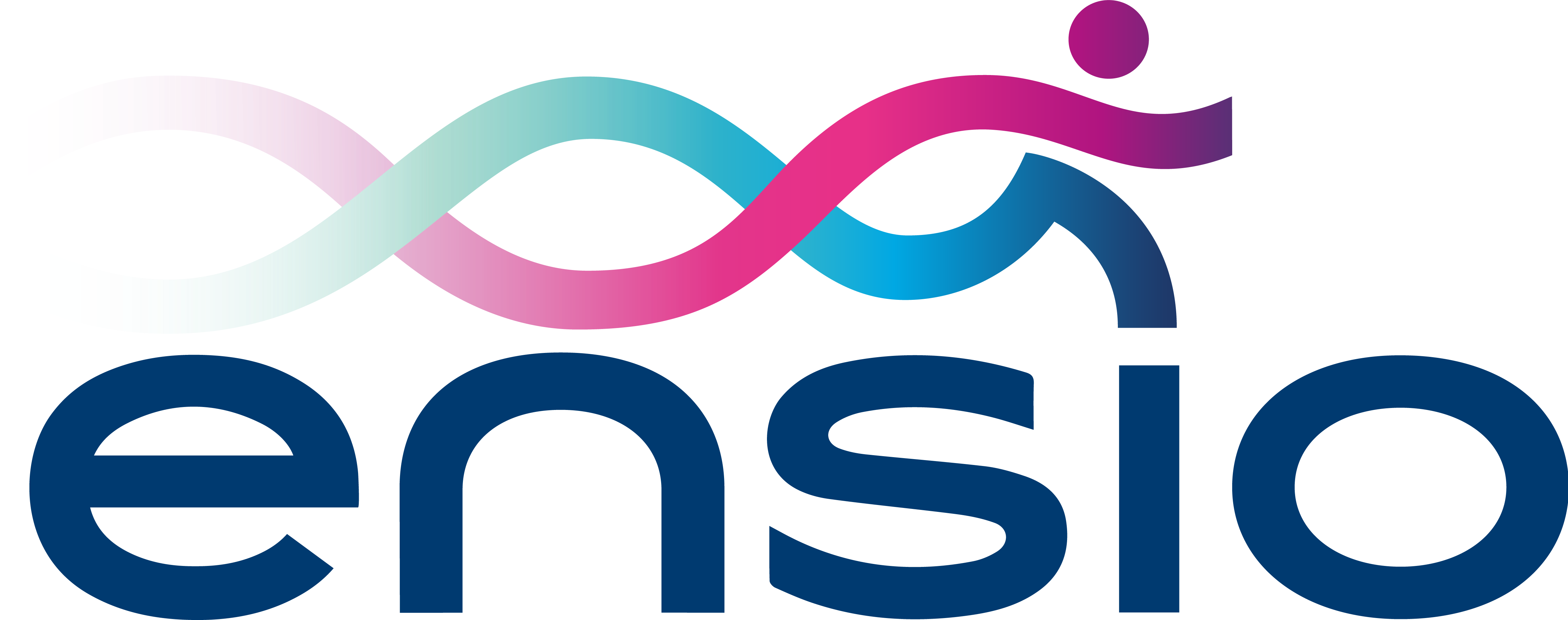 Logo ENSIO